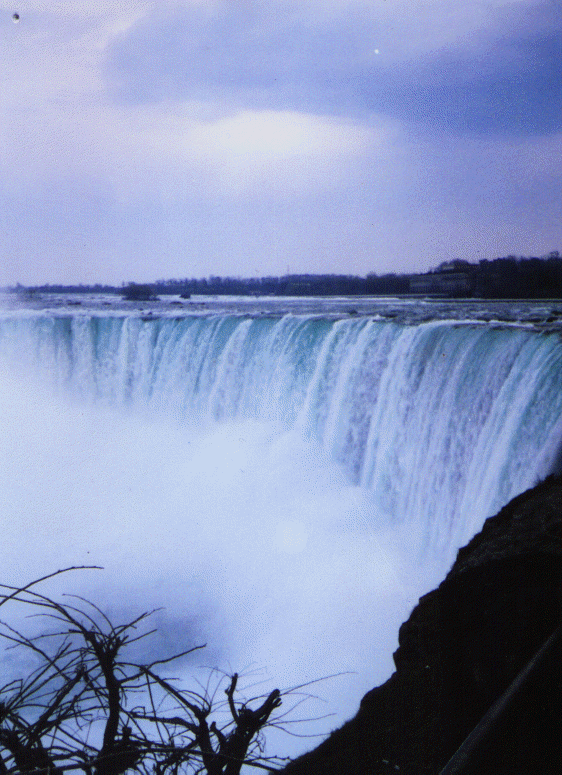 wpe01833.gif (235397 bytes)